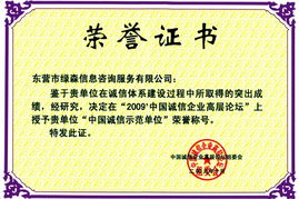 東營市綠森信息咨詢服務有限責任公司 專業(yè)信息咨詢服務的卓越提供者